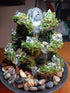 outdoor wall fountains