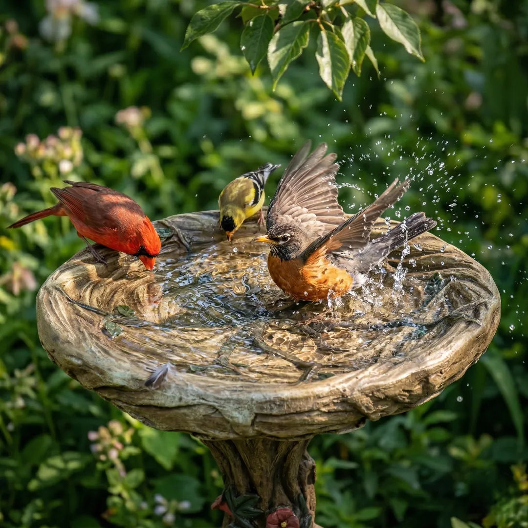 Birds bathing and drinking in a concrete bird bath