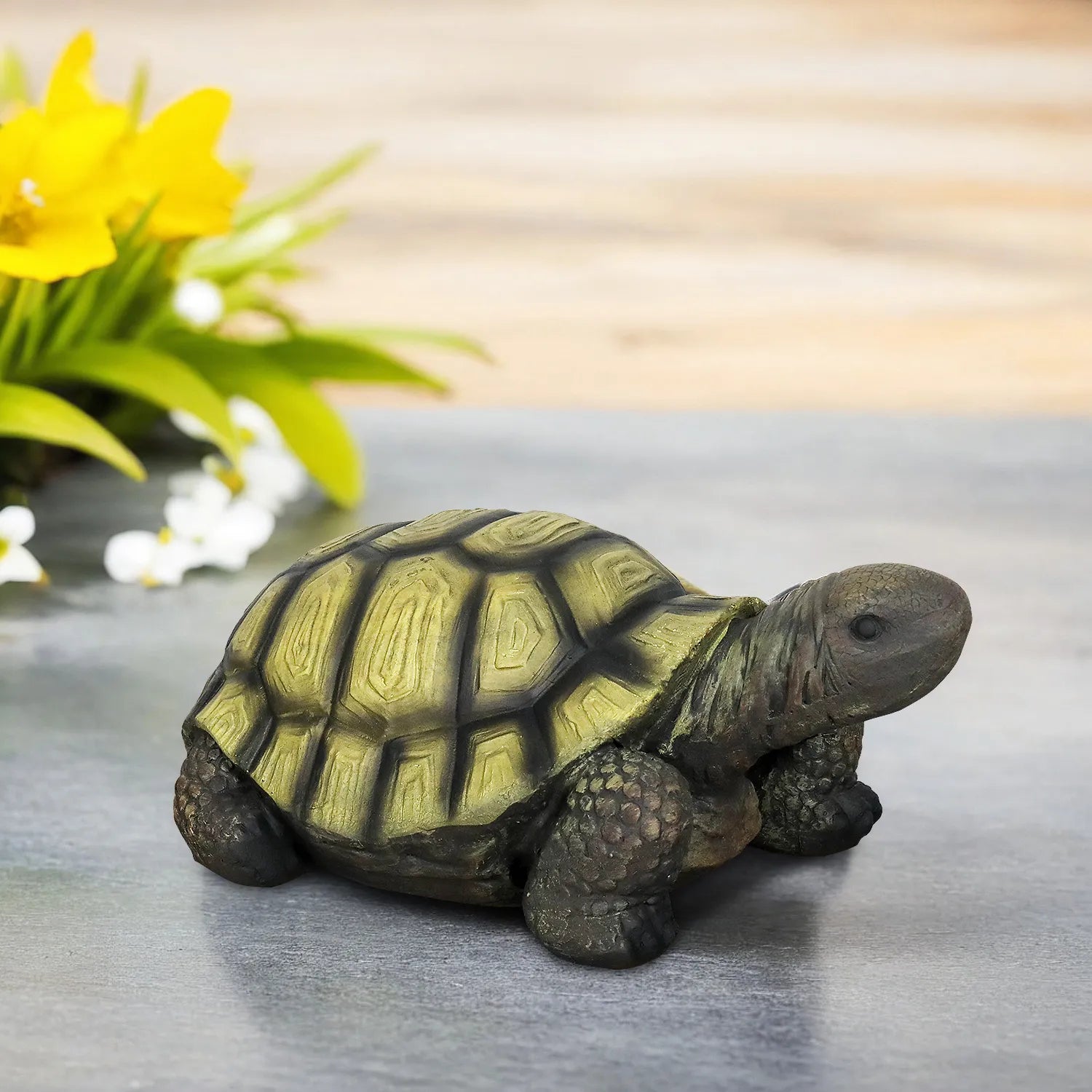 Close-up of the detailed shell and realistic features of the large turtle garden ornament.