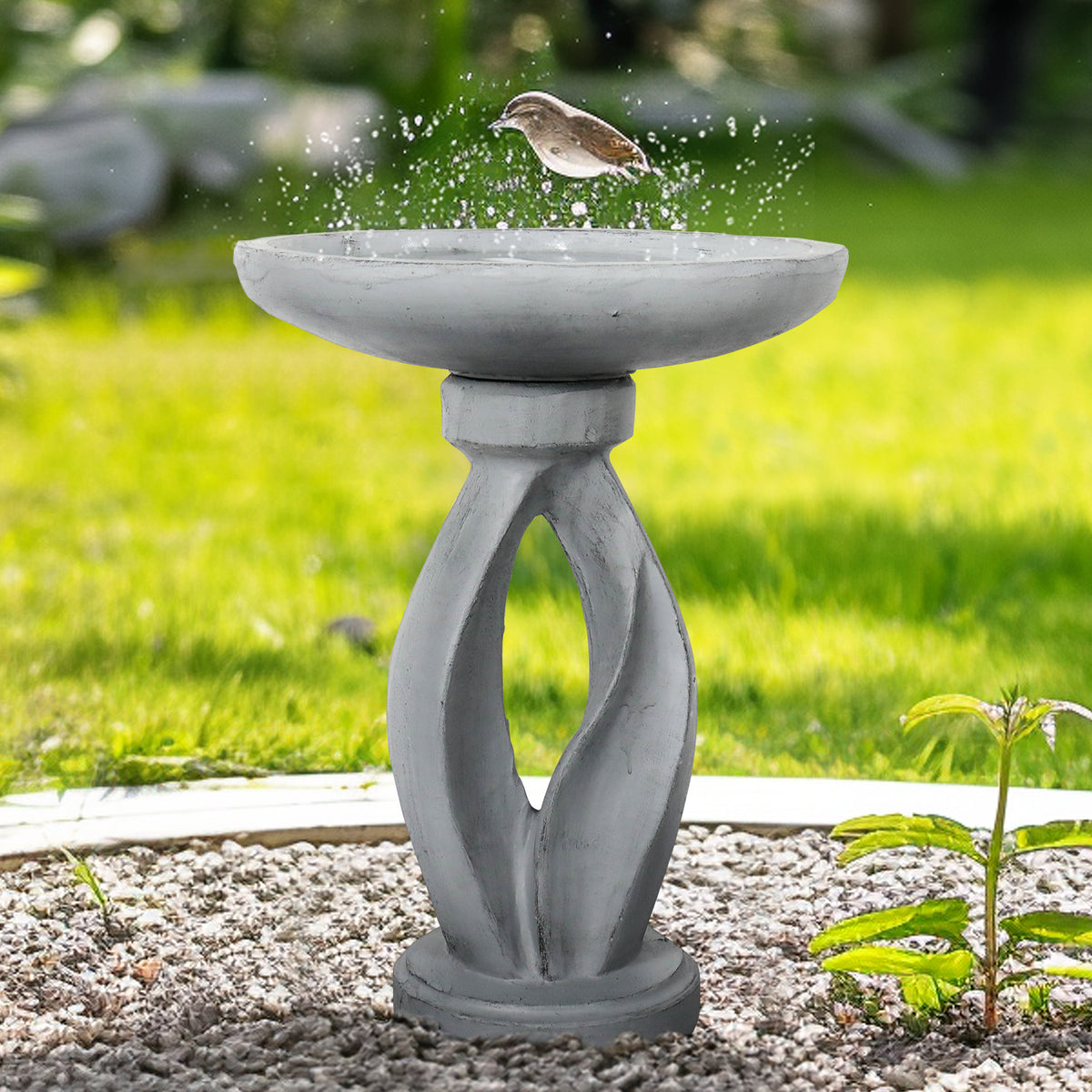 Songbird bathing safely in the elevated bowl of the 21.8"H modern freestanding concrete patio bird bath.