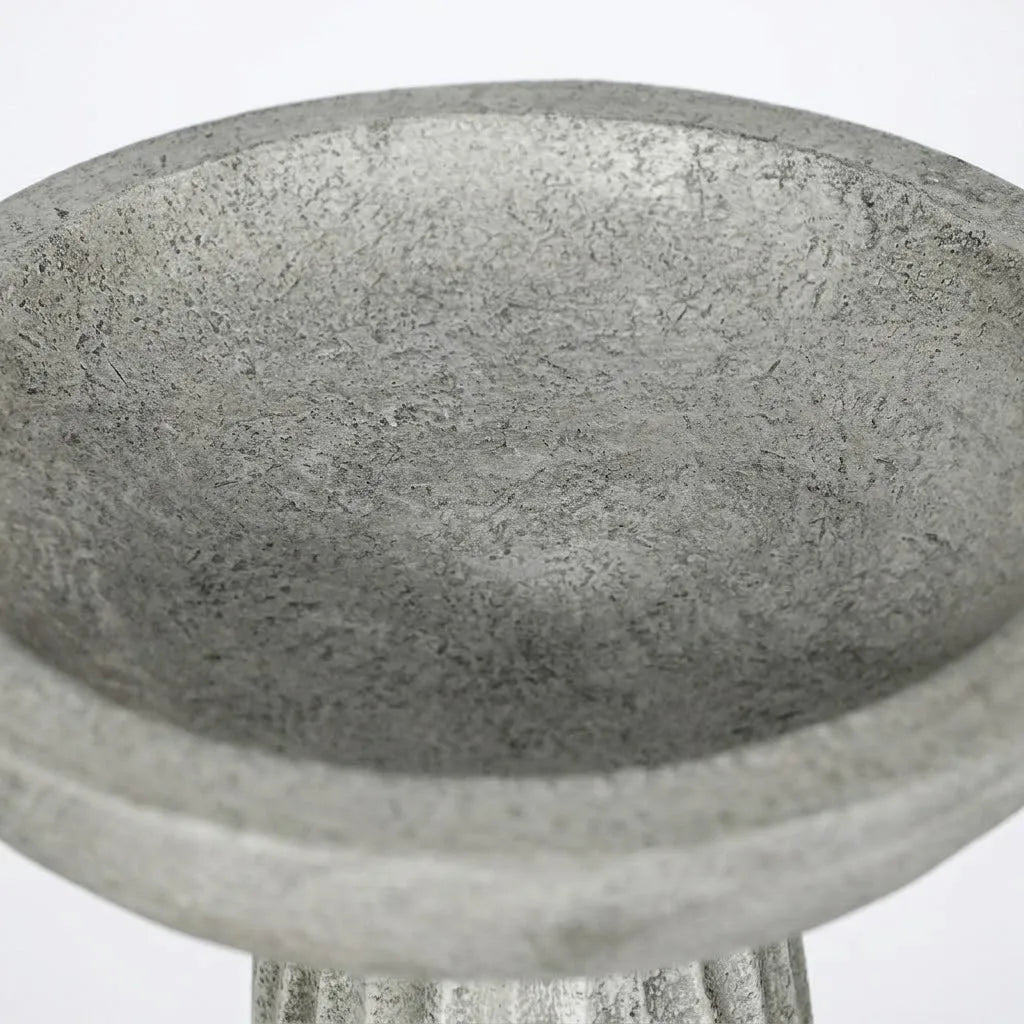 Close-up of matte grey concrete bird bath surface showing natural stone texture and weathered finish