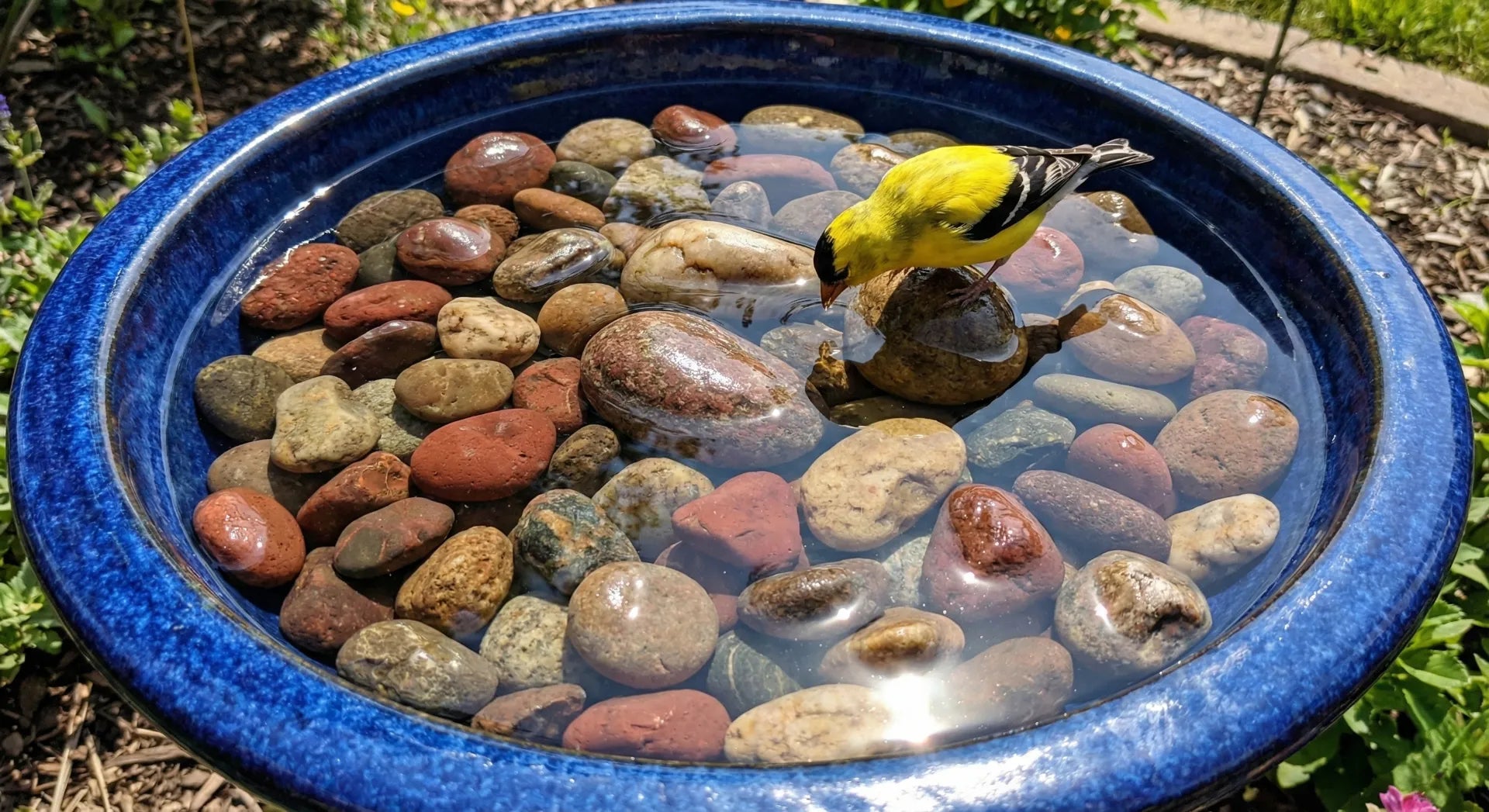 A deep bird bath made safe with river stones at the bottom to reduce water depth.