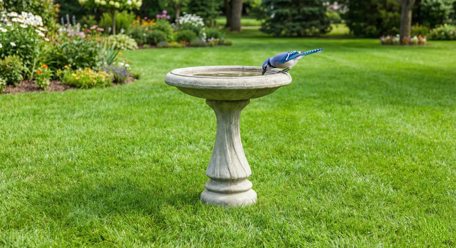 A snake-proof bird bath setup with short grass and no hiding spots for predators