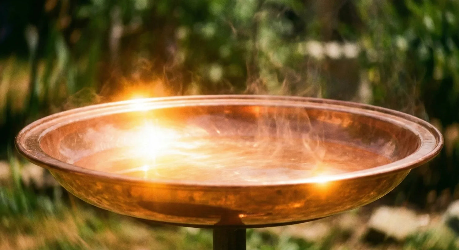 Comparison of hot copper bird bath vs cool concrete bird bath for bird safety.
