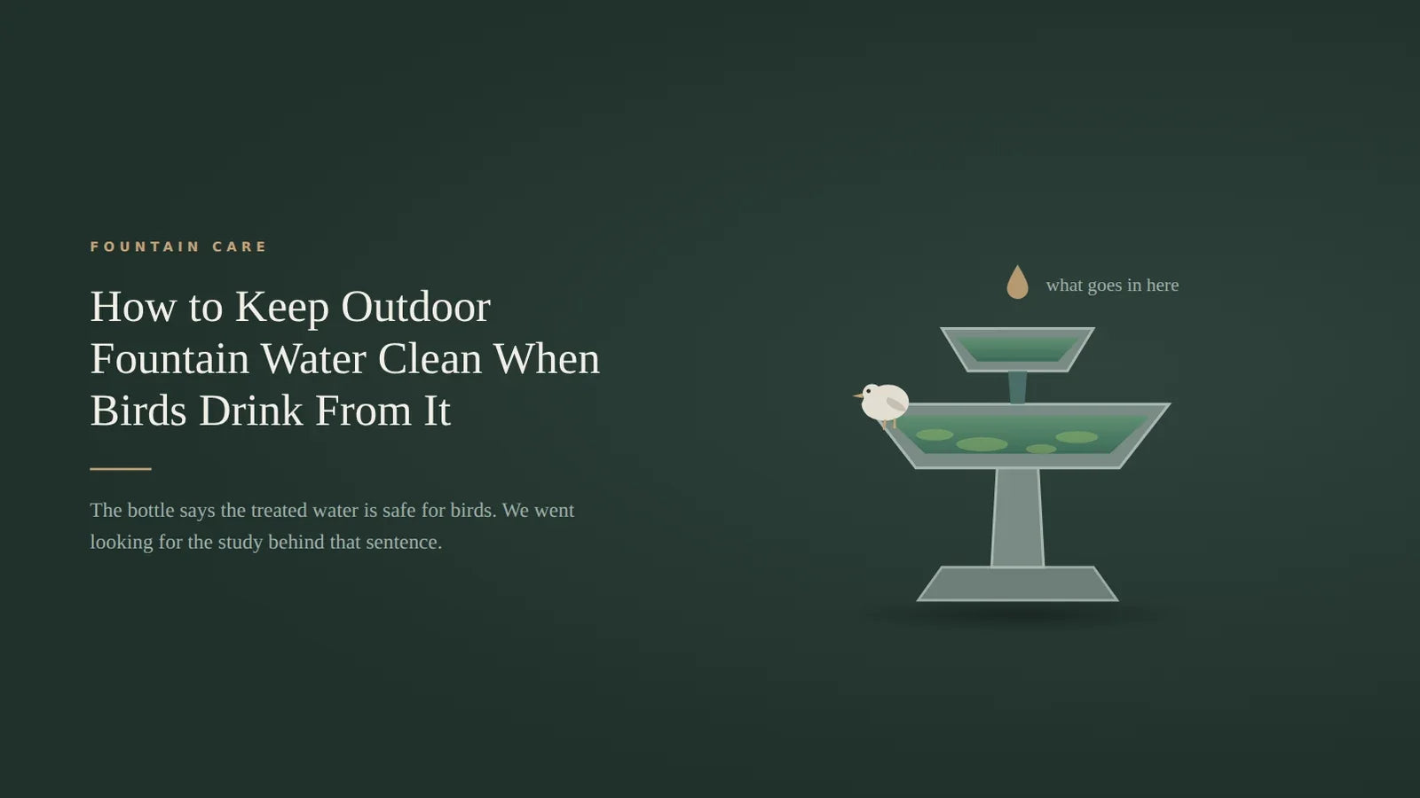 A two tier concrete fountain in dark green with a small bird perched on the lower basin rim and green algae patches on the water surface