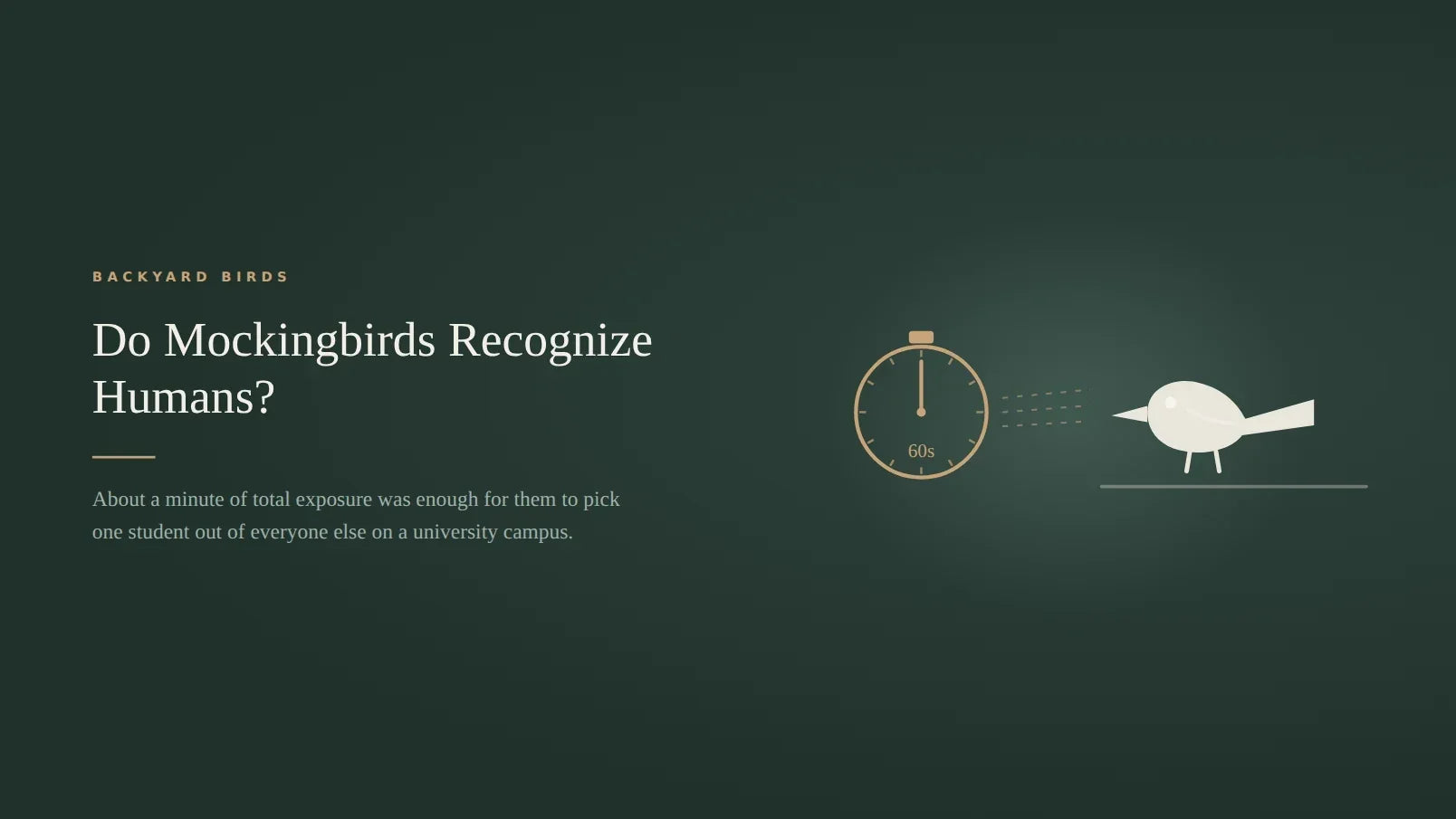 Dark green title card for an article on whether mockingbirds recognize humans, showing a stopwatch marked sixty seconds on the left with dashed sight lines running to a mockingbird perched on a branch on the right