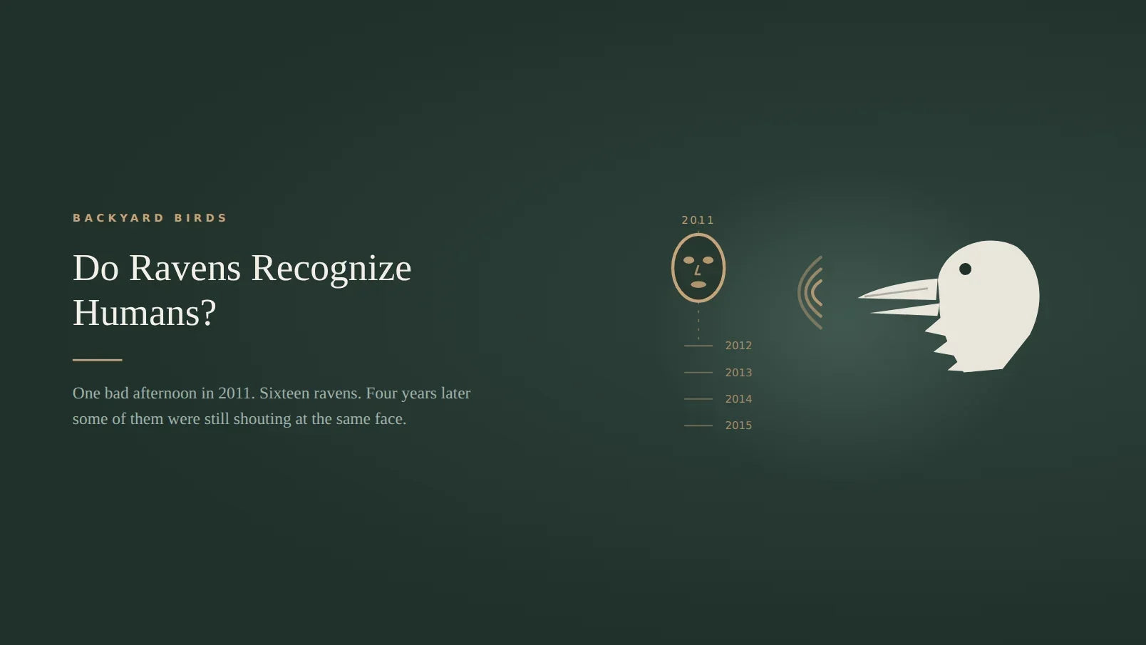 Dark green title card for an article on whether ravens recognize humans, showing a neutral rubber mask hanging above a scale of years from 2011 to 2015, with a raven head in profile at right, bill open, calling toward the mask