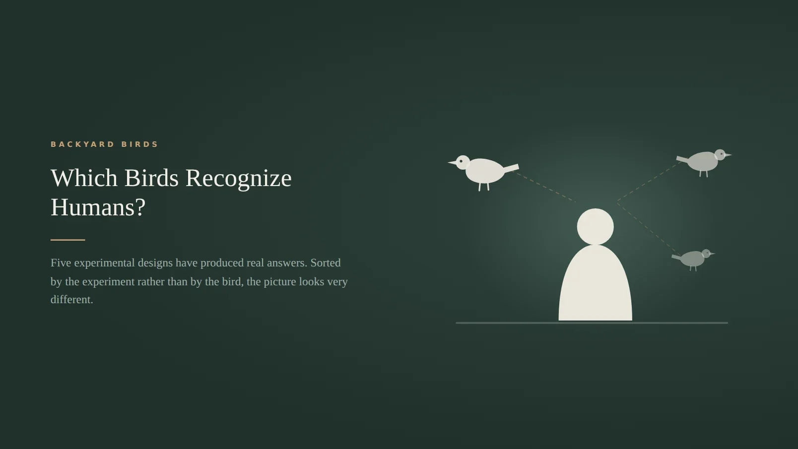 Three small birds watching a single person, drawn as pale silhouettes on a dark green card