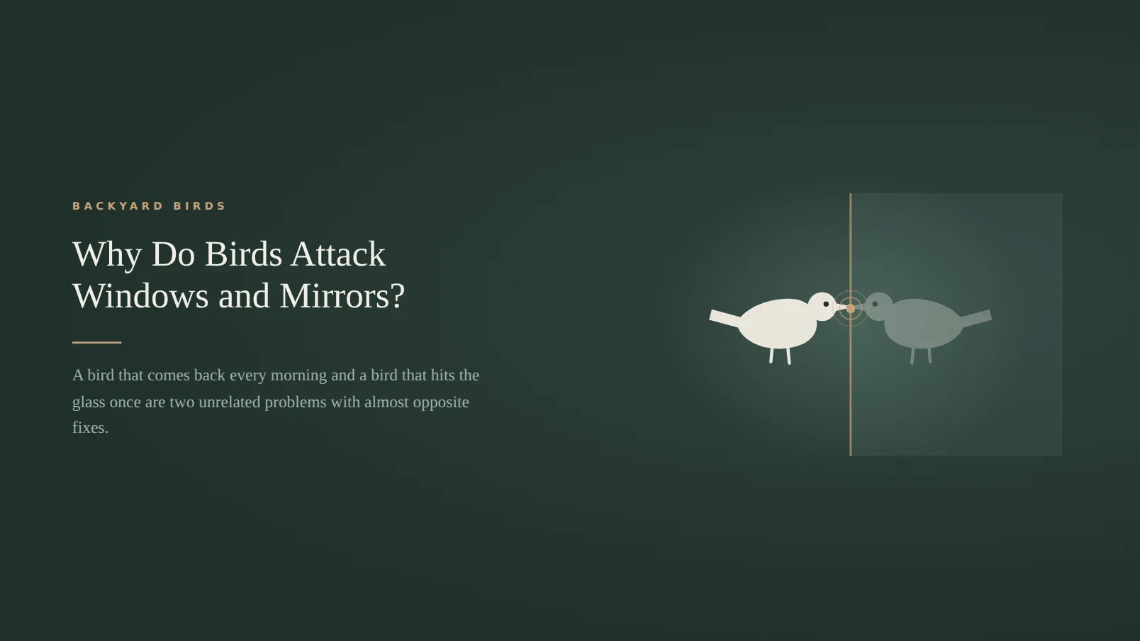A bird facing its own reflection across the edge of a pane of glass, drawn as pale silhouettes on a dark green card