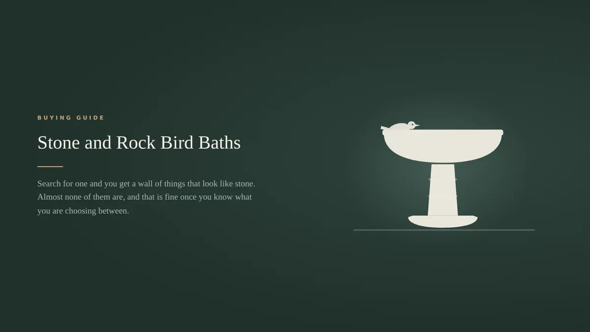 Buying guide hero showing a pale stone look pedestal bird bath with a bird on the rim