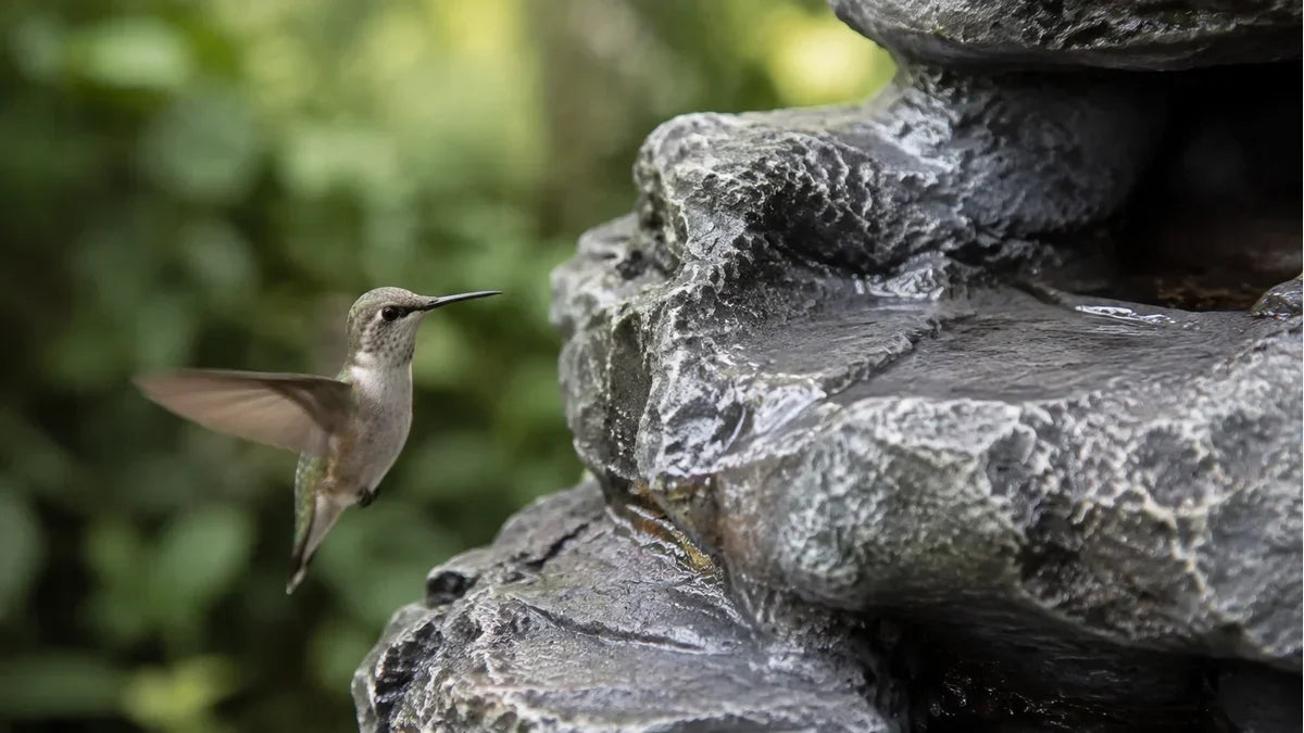 A hummingbird hovering beside the wet ledge of a concrete rock waterfall fountain with its wings blurred