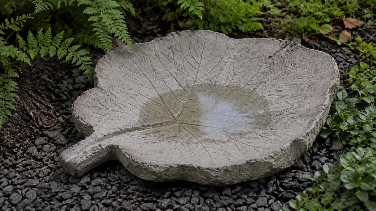 A cast concrete leaf bird bath on the ground with veins moulded into the surface and water pooled in it