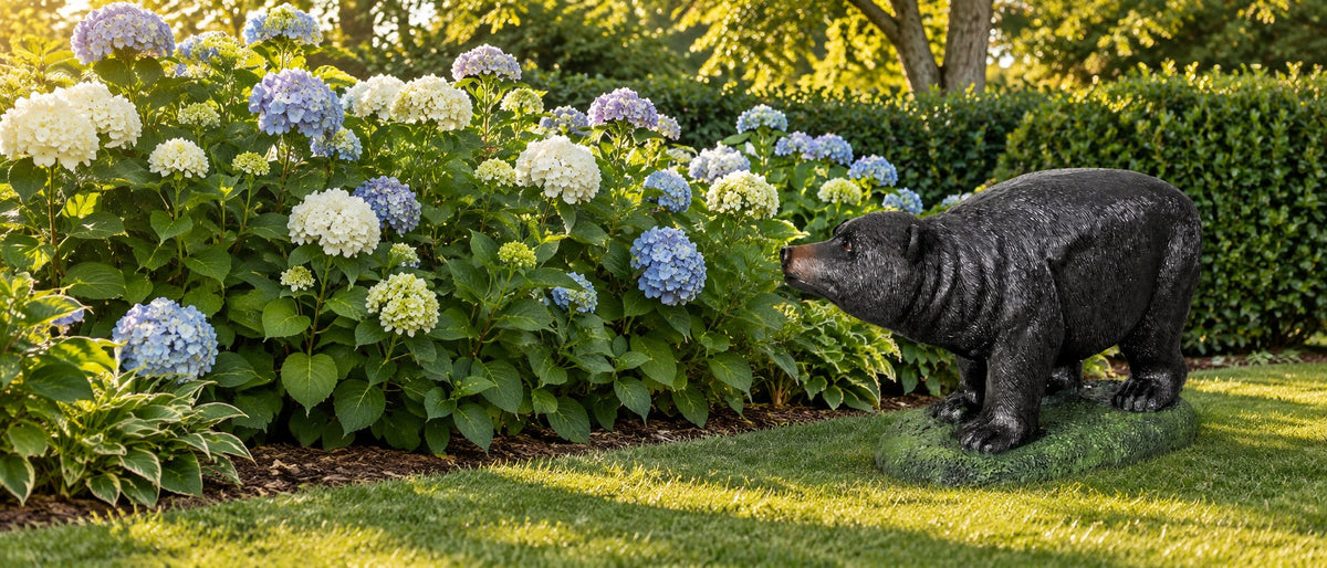 Black bear statue stepping onto a lawn from a border of blue and white hydrangeas
