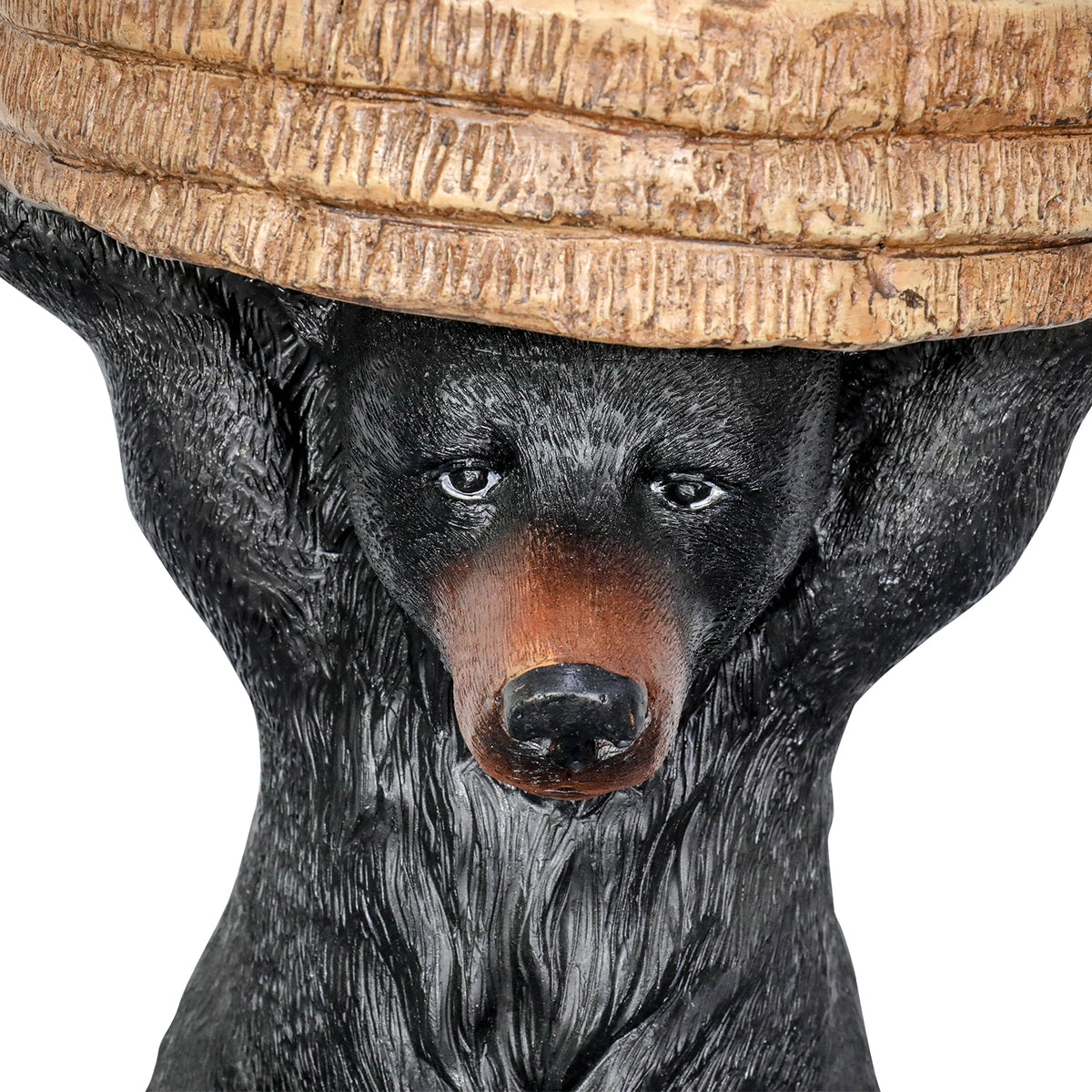 Close-up of the lifelike facial features and textured fur of the black bear