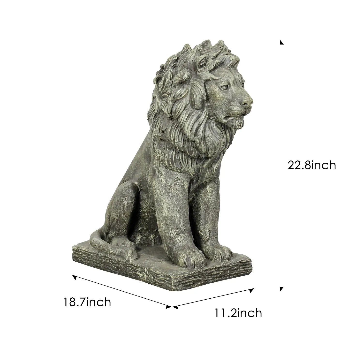 Dimensions and size chart for the concrete guardian lion sculpture