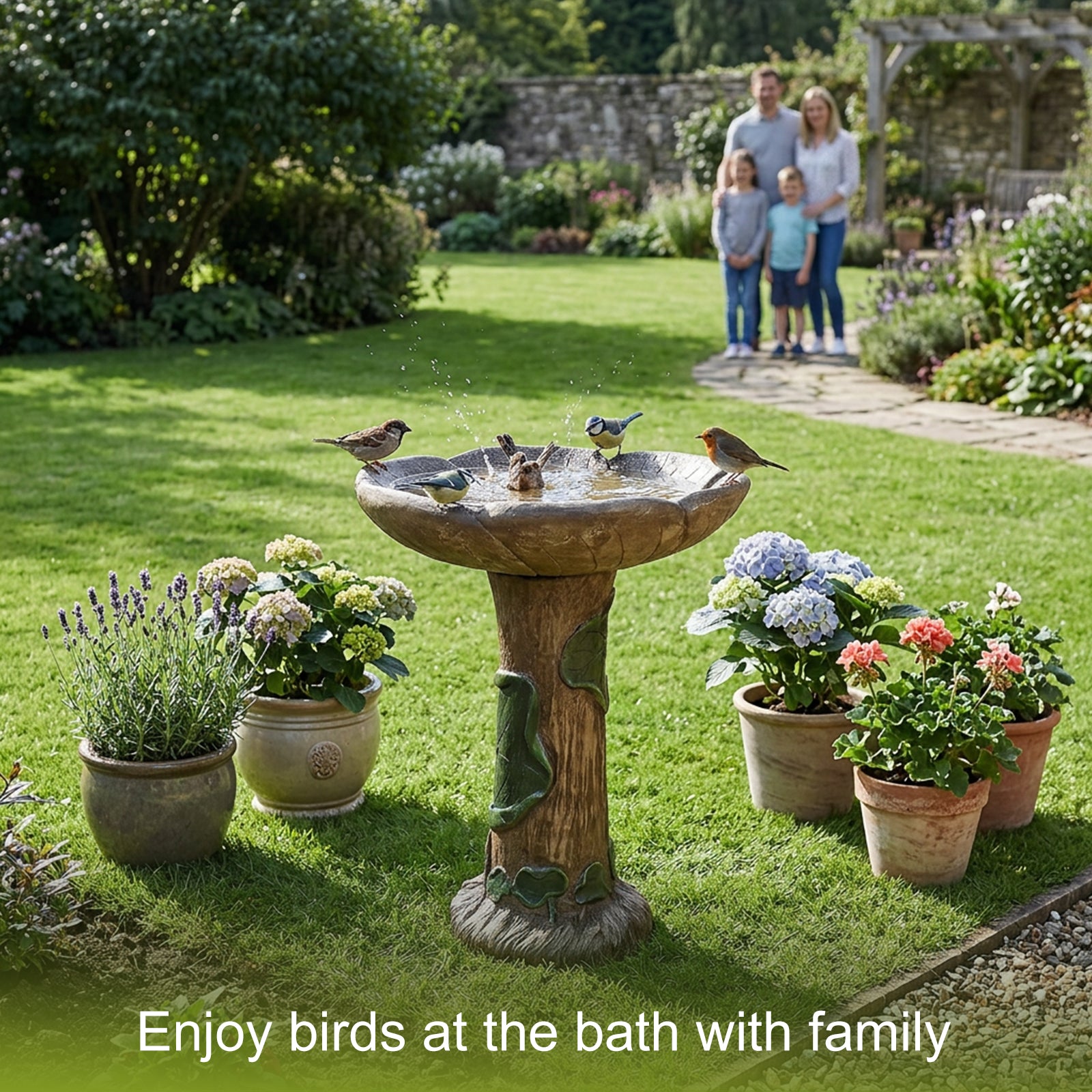 Family enjoying the view of wild birds visiting the rustic tree trunk bird bath in a sunny garden.