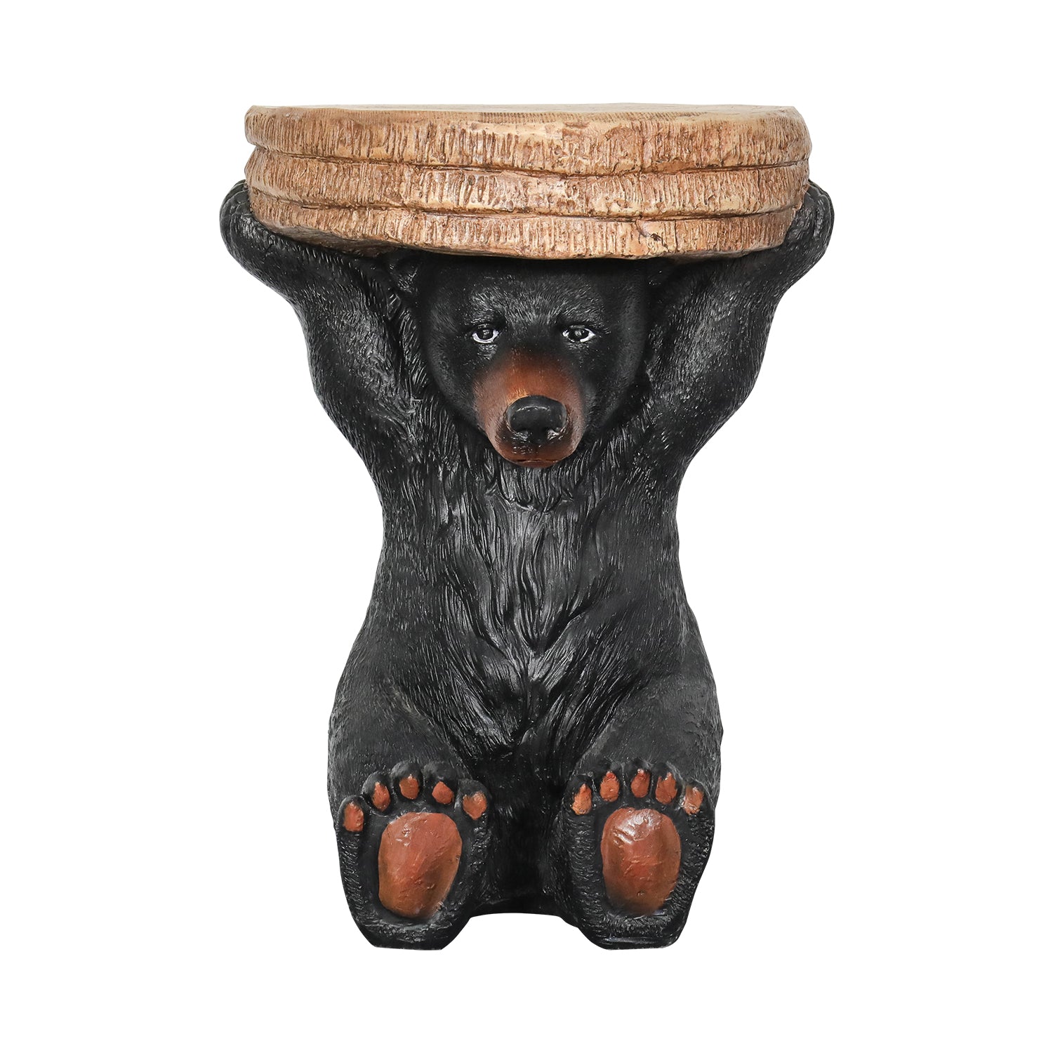 Front view of the 21" hand-painted black bear cement side table on white