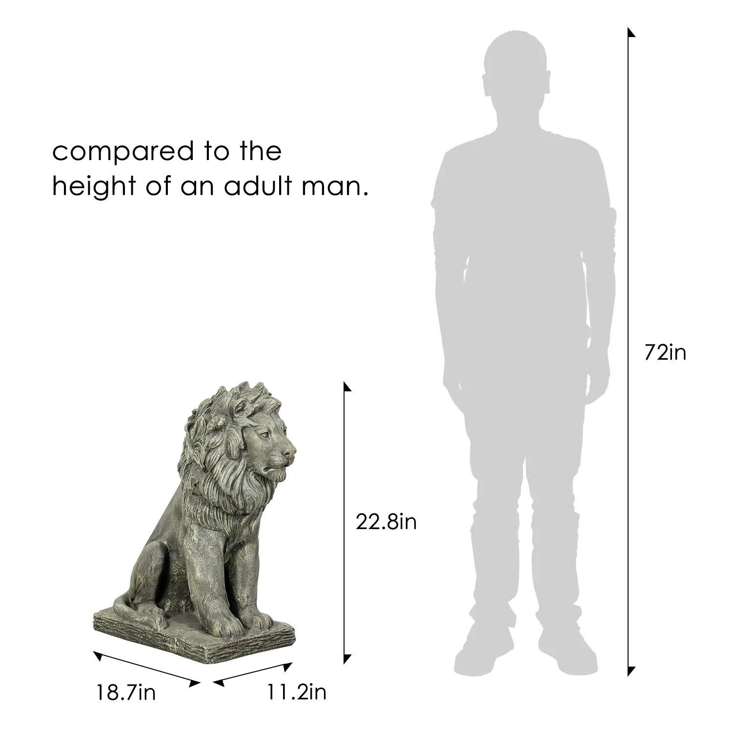 Height comparison of the 22.8" majestic seated lion garden statue