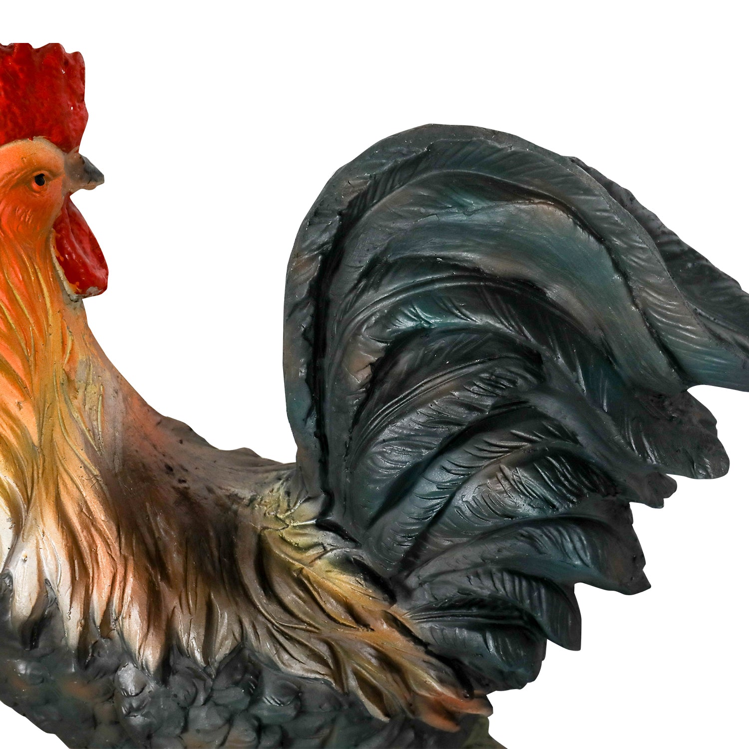 Isolated_Rooster_Tail_Structure