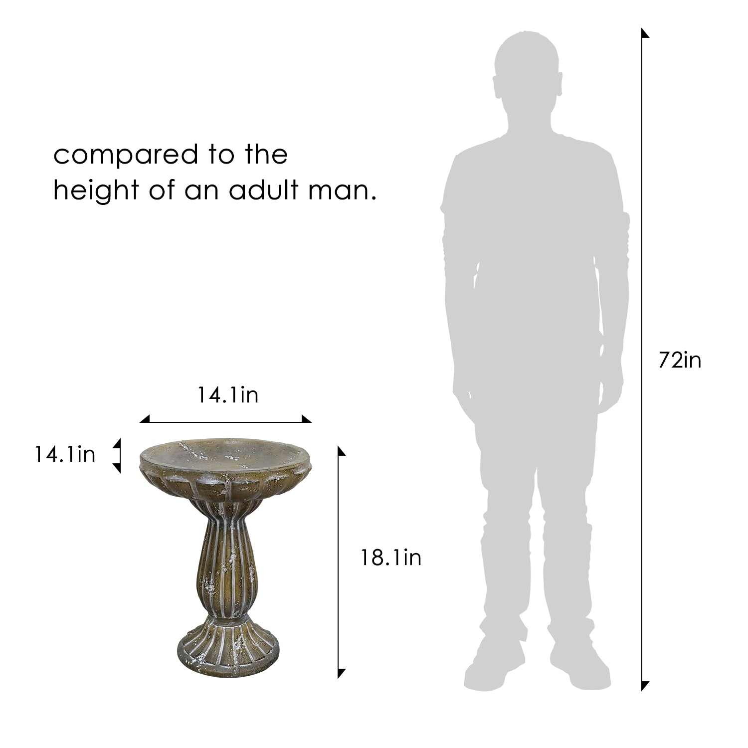 Size Comparison of 18.1 Inch Bird Bath Relative to Garden Plants