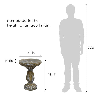 Size Comparison of 18.1 Inch Bird Bath Relative to Garden Plants