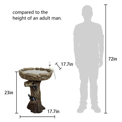 Size Comparison of 23 Inch Bird Bath Relative to Adult Height