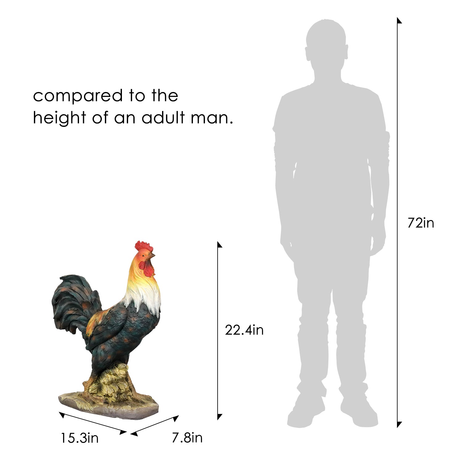 Size chart showing the 13.3-inch tall rooster statue compared to a 6-foot adult.
