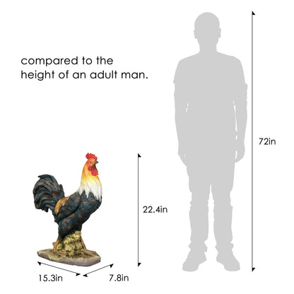 Size chart showing the 13.3-inch tall rooster statue compared to a 6-foot adult.