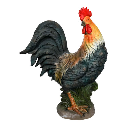 Standing_Rooster_Isolated_on_White