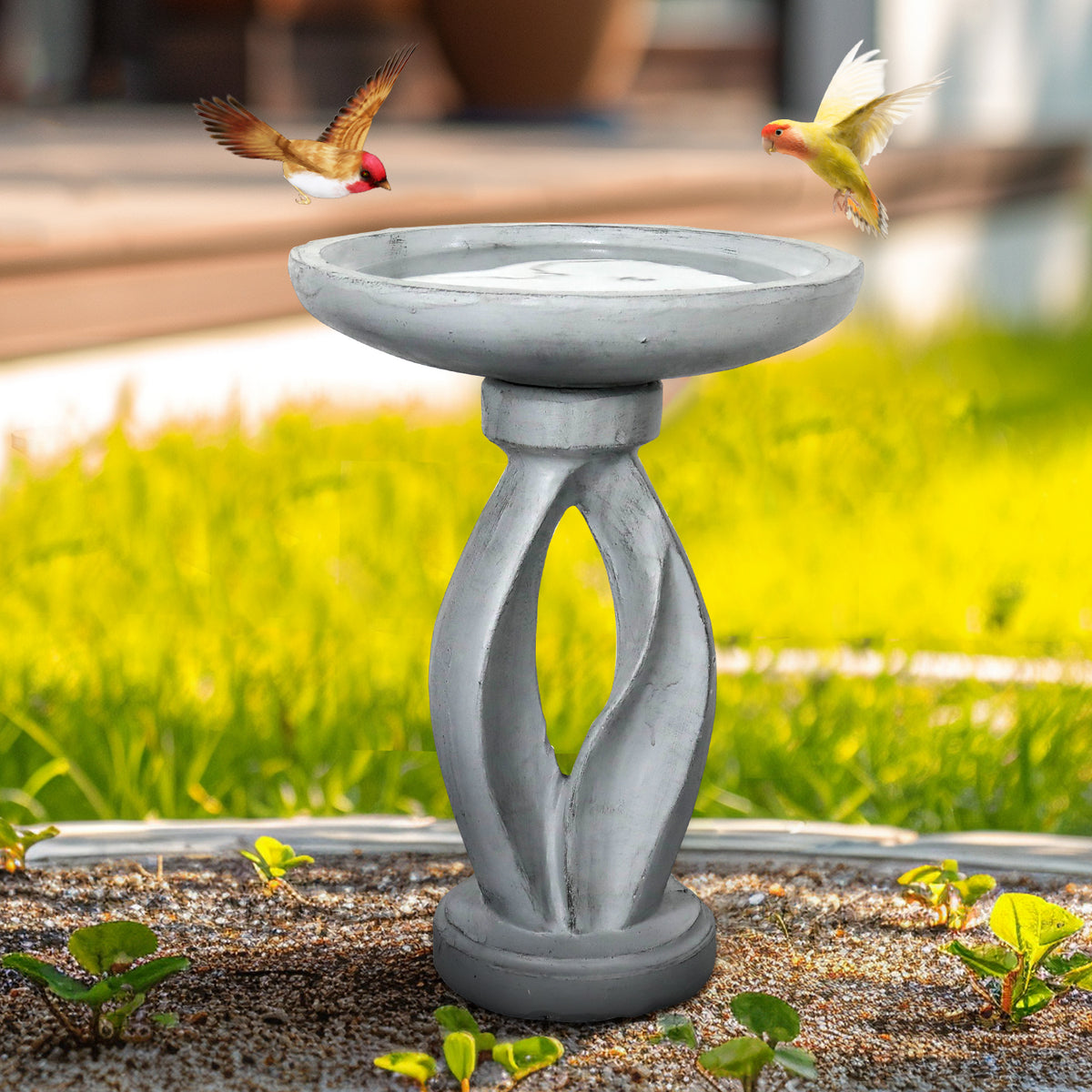 Vibrant birds enjoying the contemporary 21.8"H modern concrete birdbath in a sunny backyard.