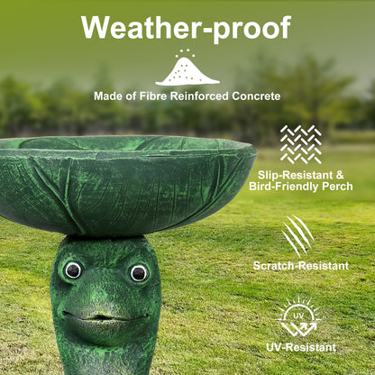 Weather-resistant concrete material close-up on the classic garden birdbath.