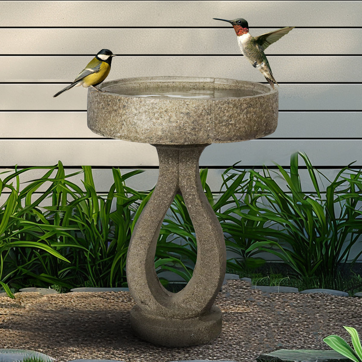 Wild birds enjoying fresh water in the elegant modern concrete outdoor birdbath by a wooden patio.