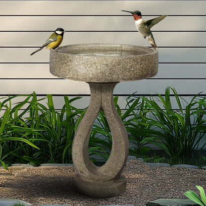 Wild birds enjoying fresh water in the elegant modern concrete outdoor birdbath by a wooden patio.