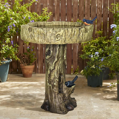 Woodland Style Bird Bath Focal Point in Garden Landscape