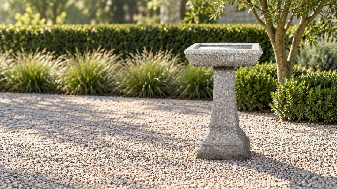 Square pedestal concrete bird bath on a gravel courtyard with clipped hedging and ornamental grasses behind