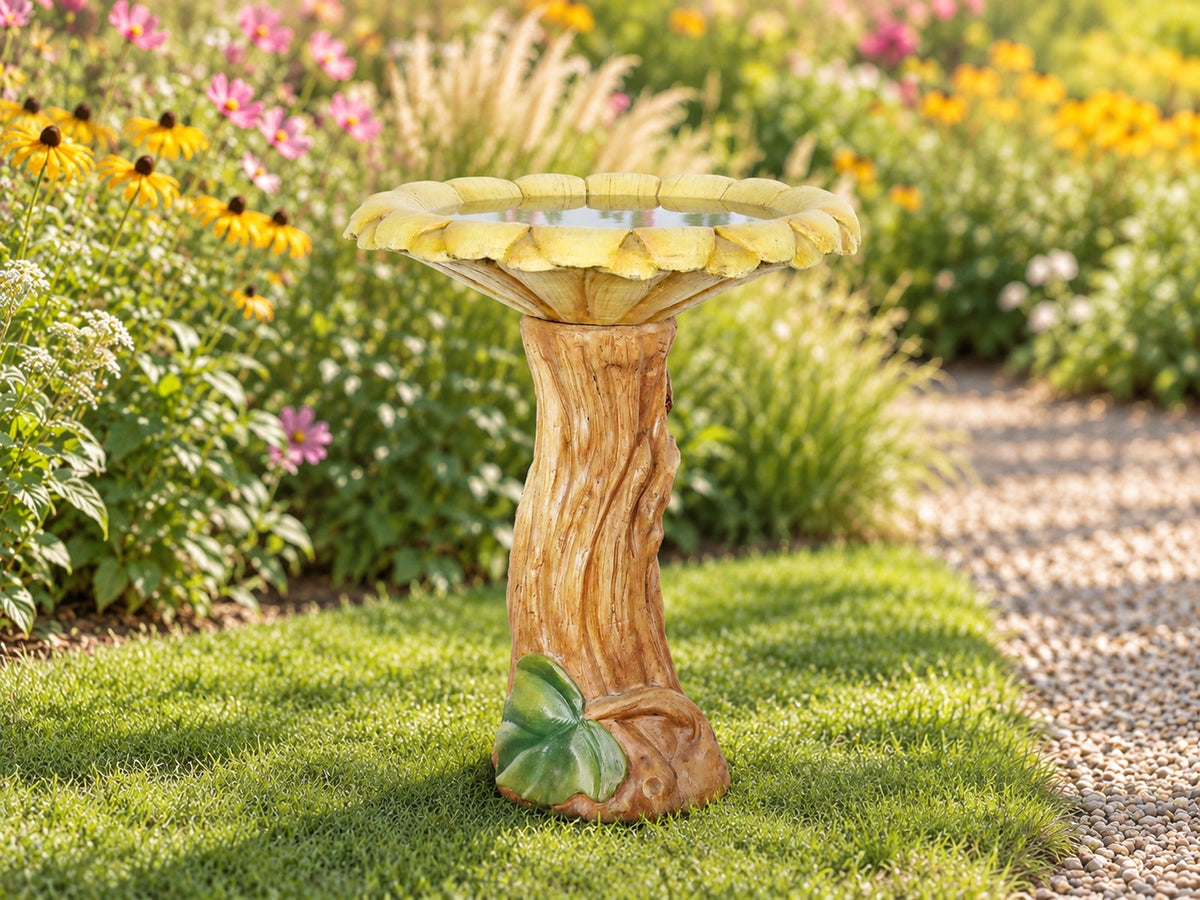 Sunflower basin on a timber trunk concrete bird bath on a lawn by a flower border
