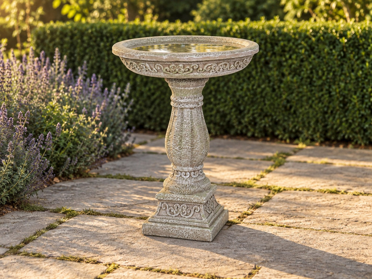 Ornate concrete bird bath on a stone path beside lavender with a clipped hedge behind