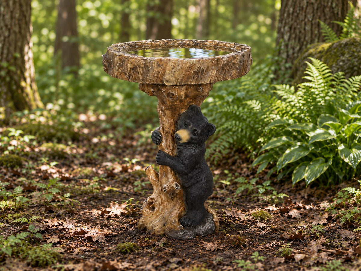 Bear cub tree stump concrete bird bath on a woodland floor with ferns and dappled light
