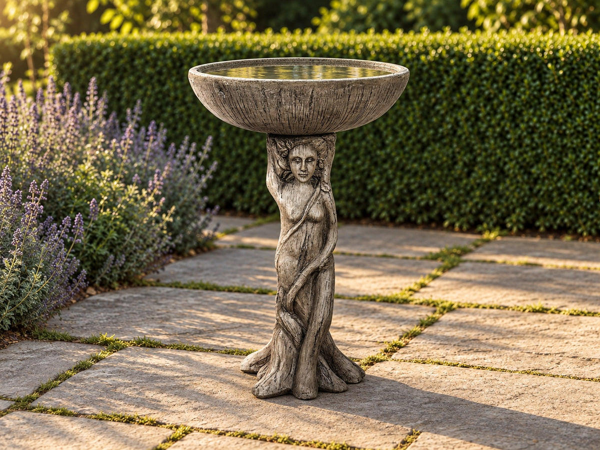 Goddess figure concrete bird bath on a stone path beside lavender with a clipped hedge behind