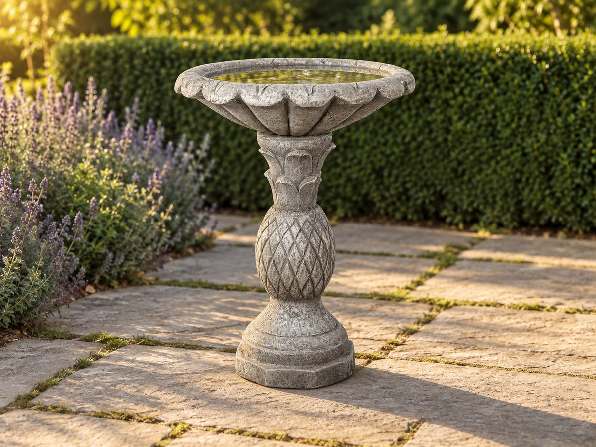 Pineapple pedestal concrete bird bath on a stone path beside lavender with a clipped hedge behind