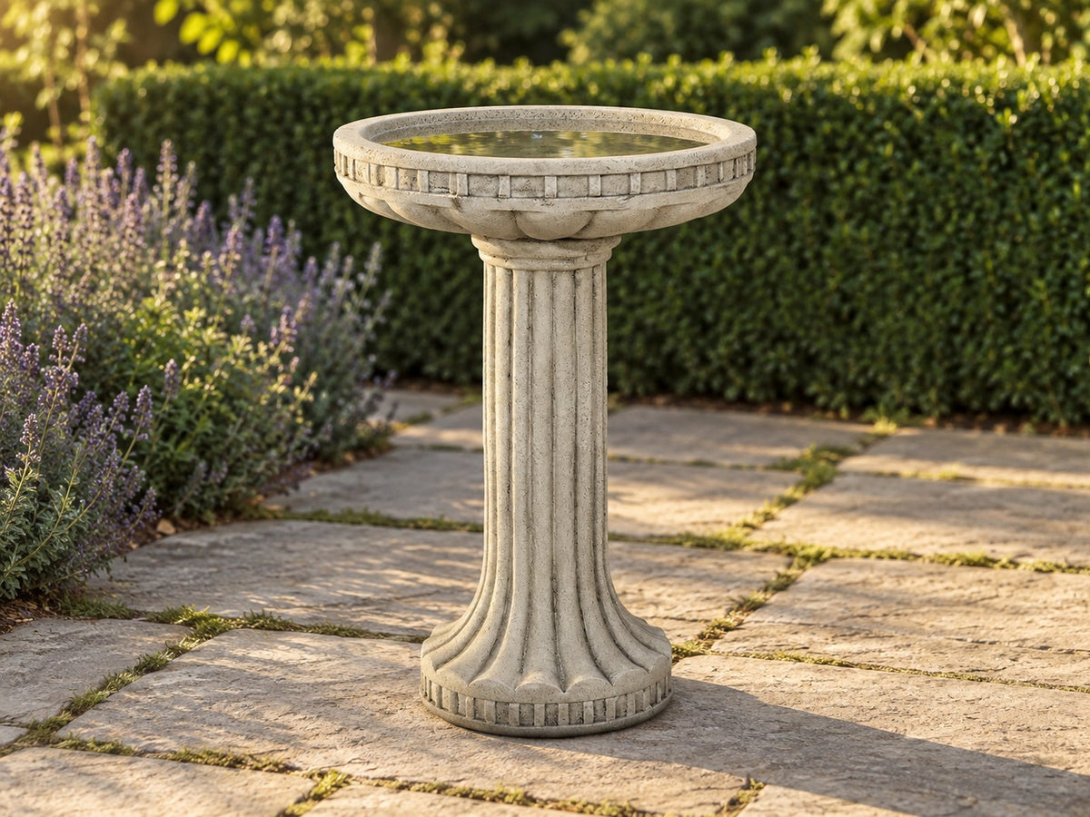 Roman fluted concrete bird bath on a stone path beside lavender with a clipped hedge behind