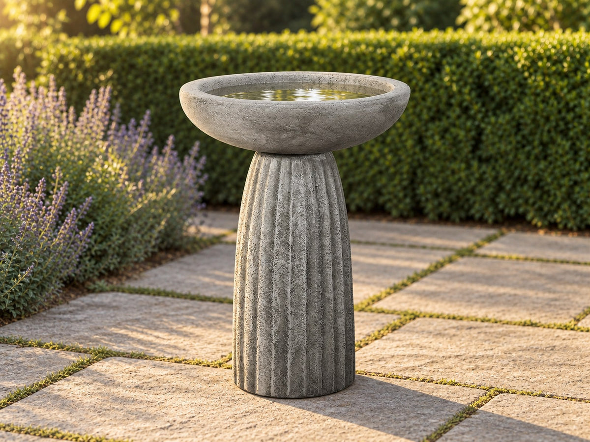 Fluted concrete bird bath on a stone path beside lavender with a clipped hedge behind