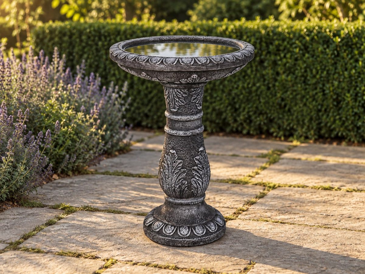 Acanthus leaf concrete bird bath on a stone path beside lavender with a clipped hedge behind