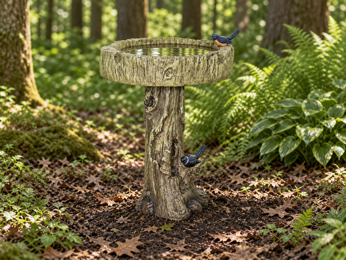 Bark textured concrete bird bath on a woodland floor with ferns and perched blue birds