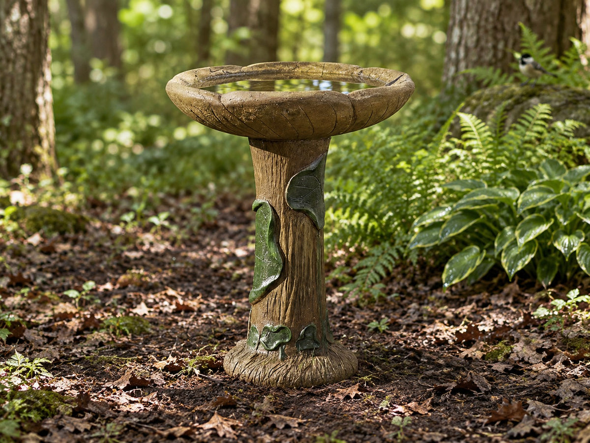 Leaf relief concrete tree trunk bird bath on a woodland floor with ferns and dappled light