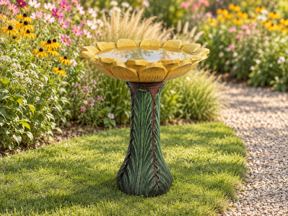 Sunflower petal concrete bird bath on a lawn beside a cottage flower border