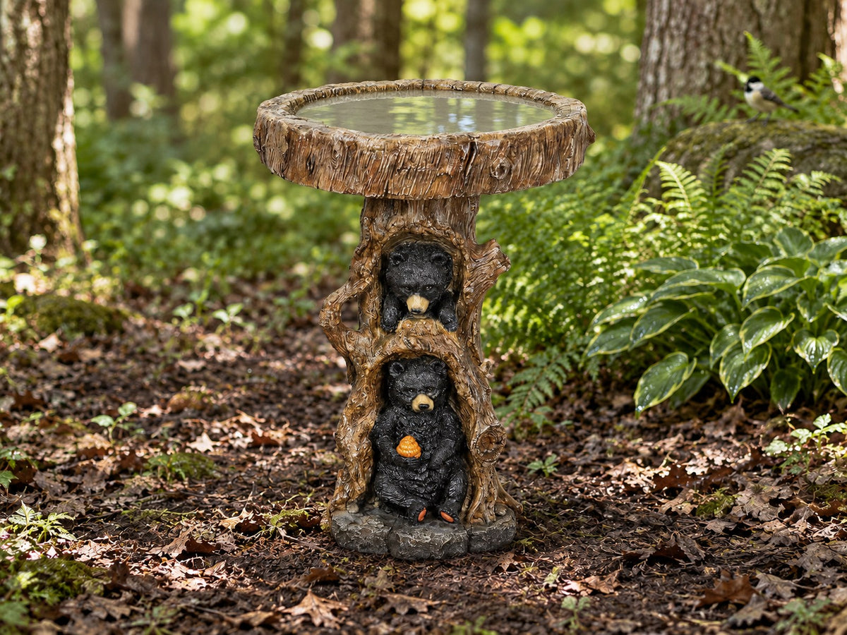 Two bear cubs concrete tree stump bird bath on a woodland floor with ferns and dappled light