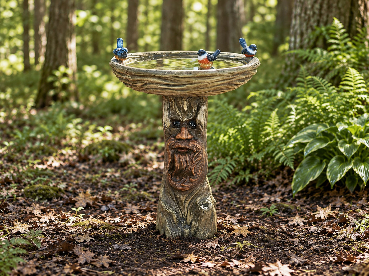 Carved tree face concrete bird bath on a woodland floor with ferns and perched blue birds