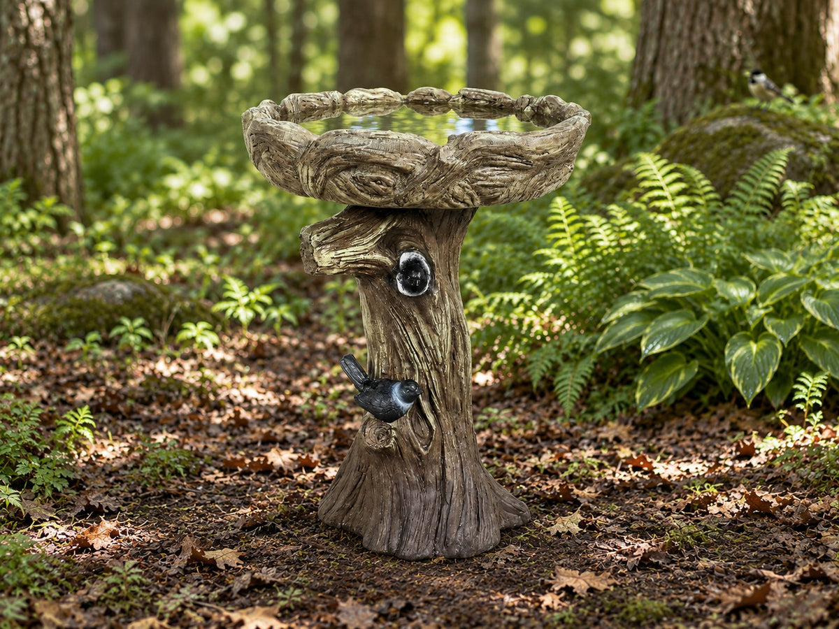 Log and knot concrete bird bath on a woodland floor with ferns and a perched blue bird